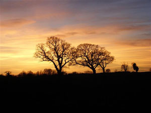 Sunset in Norfolk